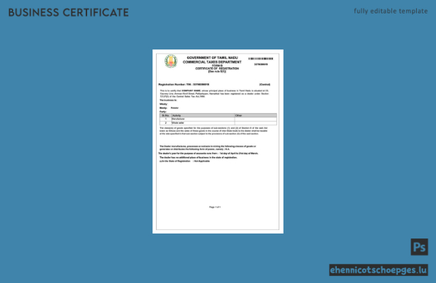 Registrierungsbescheinigung des indischen Bundesstaates Tamil Nadu (Word und PDF), Version 2 – Beispielvorschau